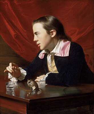 Boredom john singleton copley a boy with a flying squirrel (henry pelham) google art project